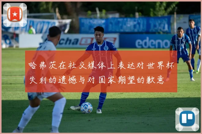 哈弗茨在社交媒体上表达对世界杯失利的遗憾与对国家期望的歉意