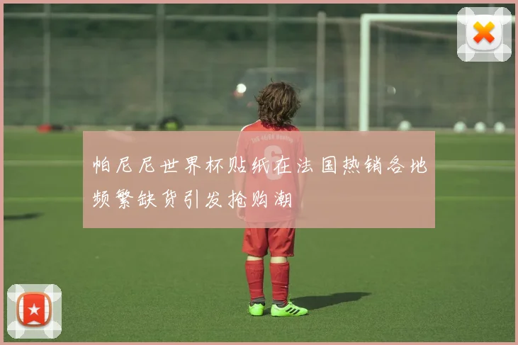 帕尼尼世界杯贴纸在法国热销各地频繁缺货引发抢购潮